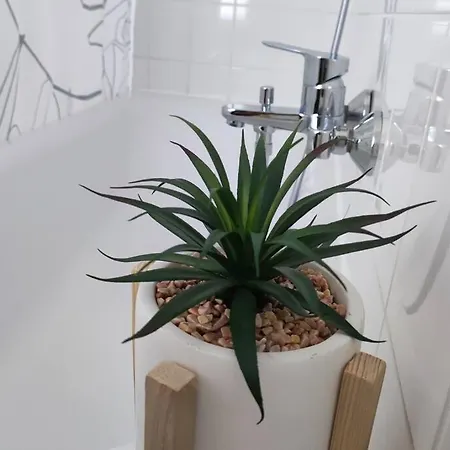 Designerwohnung In Apartmán