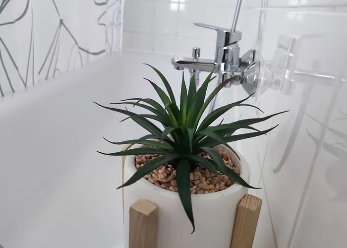 Designerwohnung In Apartamento